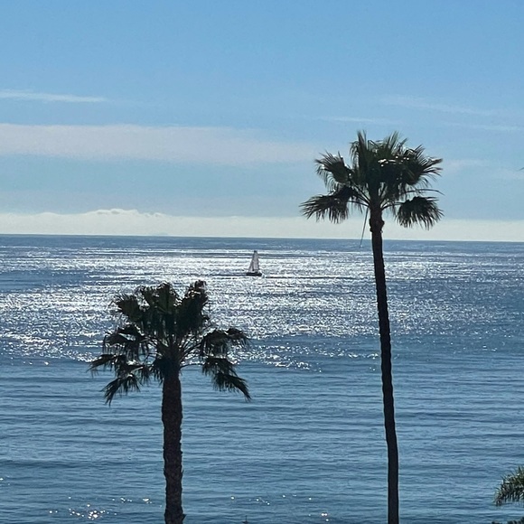 Meet your Posher, Michelle - Picture 1 of 1